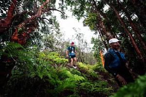 BIB: 
                            <button type="button" onclick="openModal(26201537)" class="btn btn-primary btn-sm float-right btn-popup" data-toggle="modal" data-target=".modal-high-quality">
                        <i class="fas fa-shopping-cart"></i> Add to Cart
                    </button>
                                            <button type="button" onclick="isThisMe(26201537, true)" class="btn btn-success btn-sm float-right btn-popup btn-isme hidden" data-toggle="tooltip" data-placement="bottom" title="นี่คือรูปของคุณใช่ไหม คลิกที่นี่เพื่อเอาเข้าอัลบั้ม">
                        <i class="fas fa-plus"></i> Add to album
                    </button>
                    <button type="button" onclick="isThisMe(26201537, false)" class="btn btn-warning btn-sm float-right btn-popup btn-isnotme hidden">
                        <i class="fas fa-ban"></i> Remove from album
                    </button>